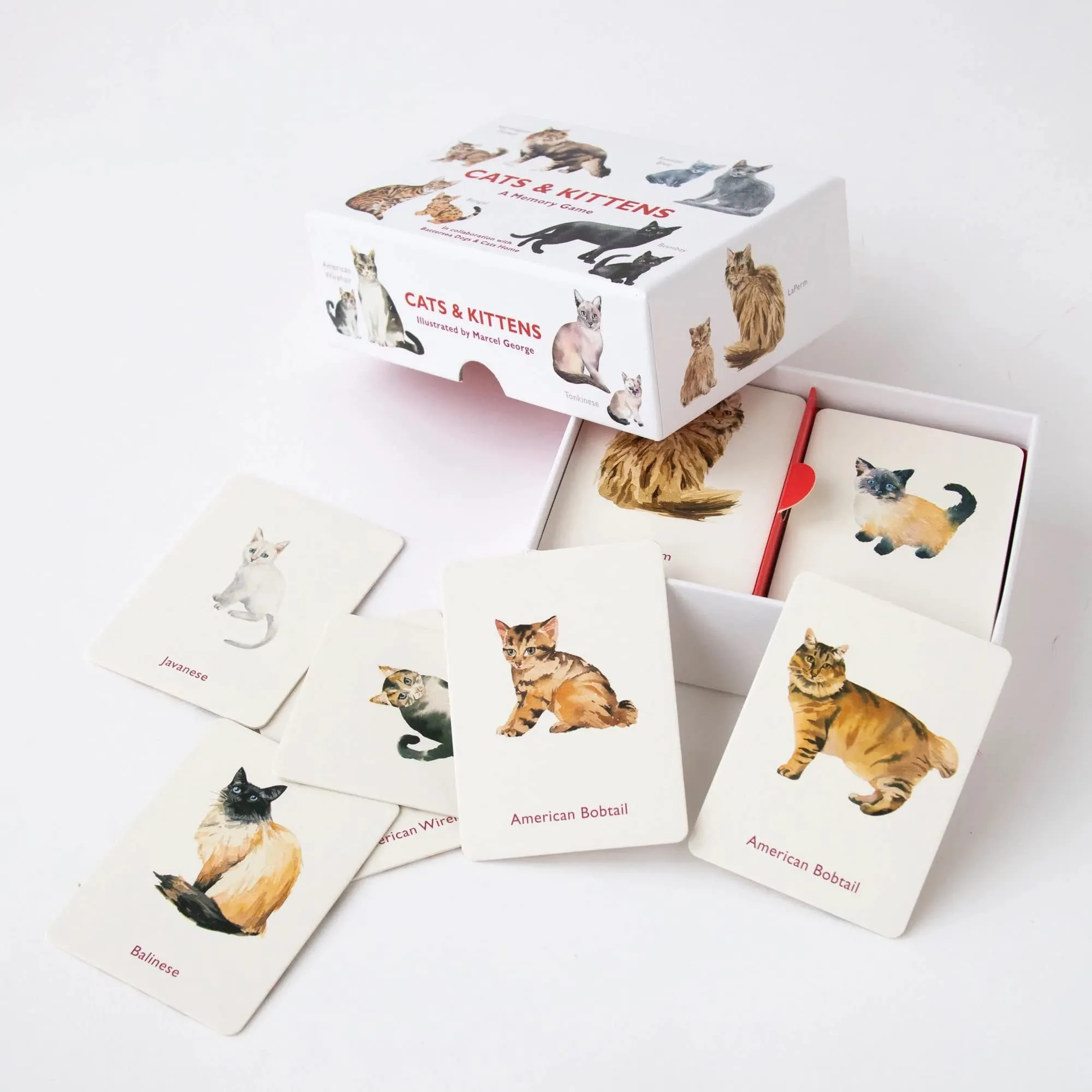 Cats & Kittens: A Memory Game