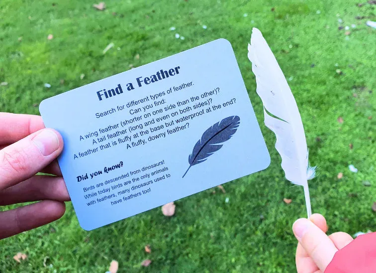 Kiwi Garden Treasure Hunt | Nature Fun Card