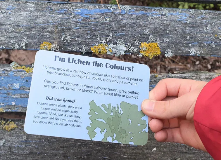 Kiwi Garden Treasure Hunt | Nature Fun Card