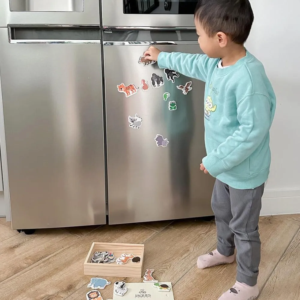 Magnetic Animals - Magnetic Toys for Kids