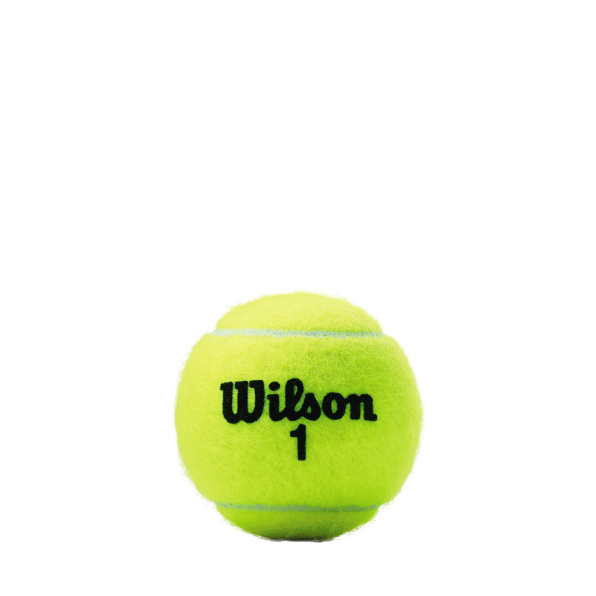 Wilson Championship Regular Duty - Individual Can (3 Balls)